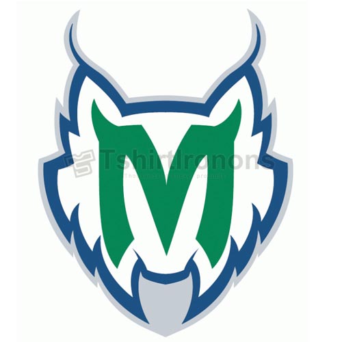 Minnesota Lynx T-shirts Iron On Transfers N5684